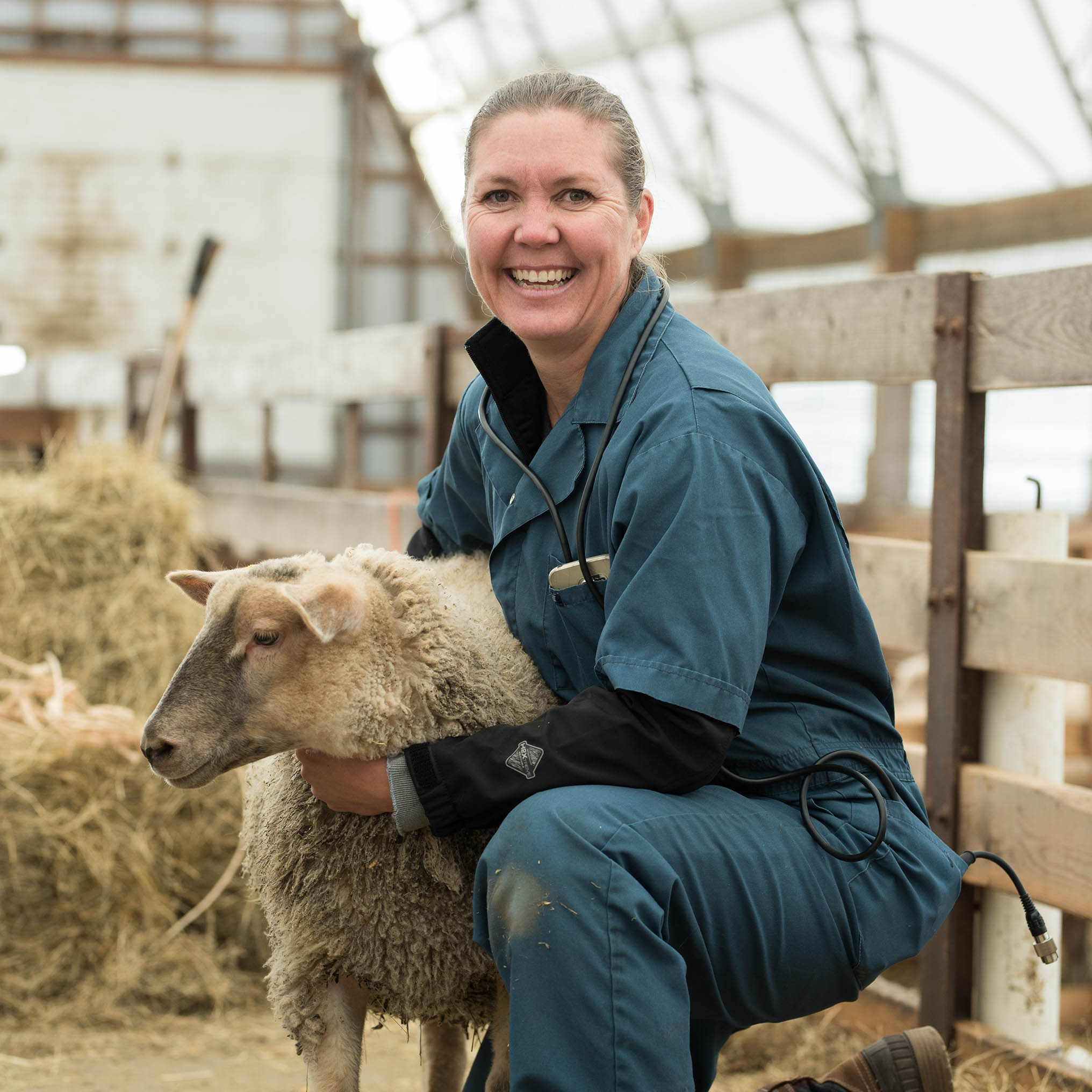 Dr. Heather Aitken