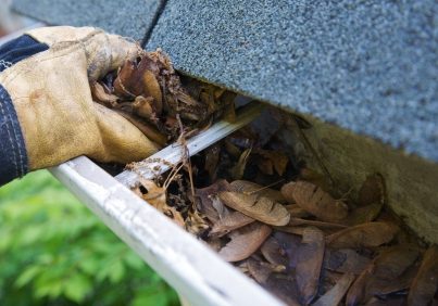 Gutter cleaning